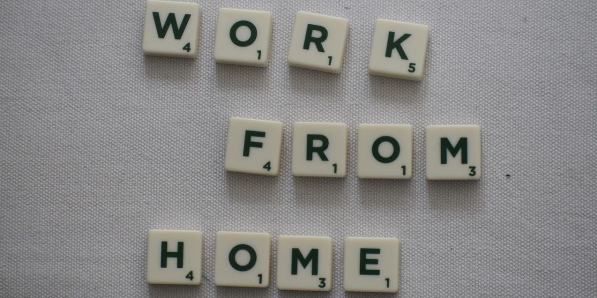 Work from home is feasible for IT Company representatives till 31st July