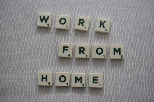 Work from home is feasible for IT Company representatives till 31st July
